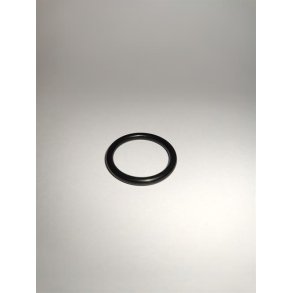 ORING VALVE CAP HPP -GP