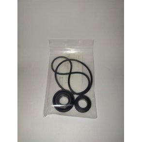 SEAL KIT BOOSTER PMP N200