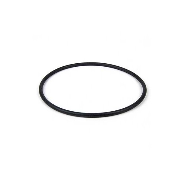 ORING,FOR 33-0095 BIG BLUE HSG